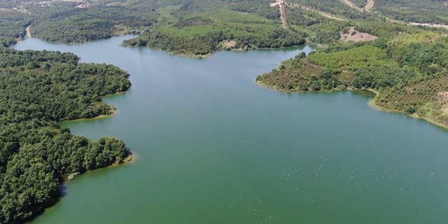 Ömerli Barajı'nda temmuz ayında son 10 yılın en yüksek su seviyesi