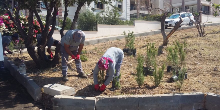 Bodrum Belediyesi’nden suda yüzde 80 tasarruf