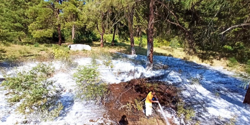 Mustafakemalpaşa’da çıkan orman yangına zamanında müdahale