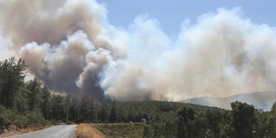 Bodrum'daki yangın bölgesinde risk devam ediyor