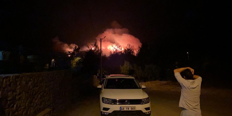 Muğla'nın Fethiye ilçesinde orman yangını başladı