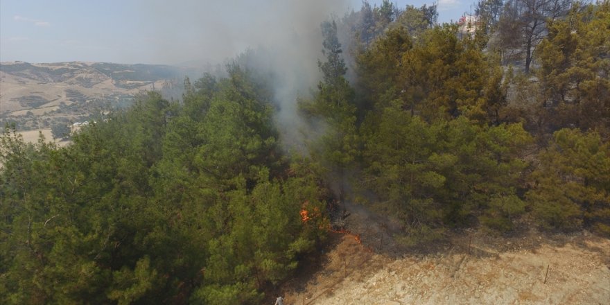 Manisa'daki yangında 10 dekar kızılçam ormanı zarar gördü