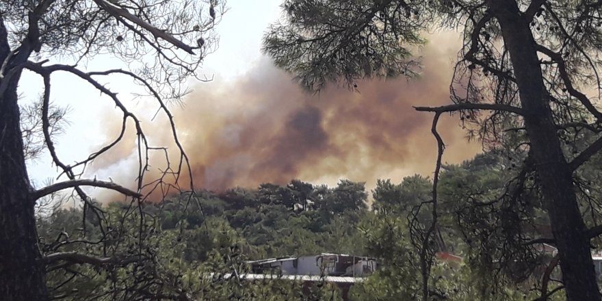 Marmaris’te alevler yeniden yükseldi