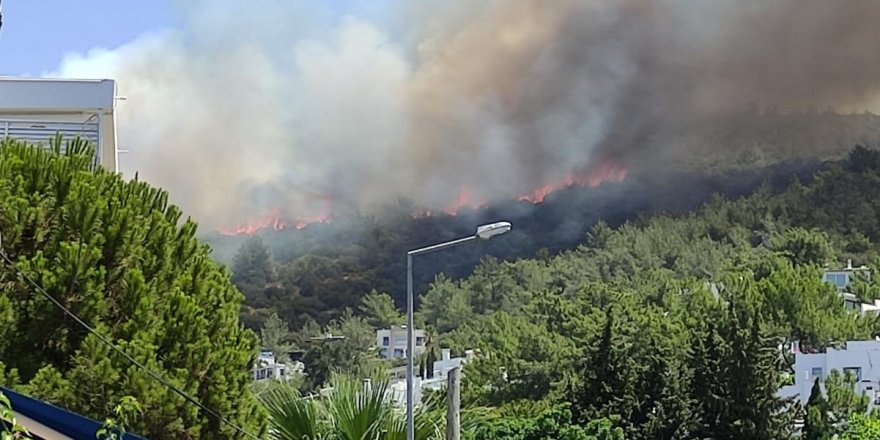 Bodrum’daki yangına ekiplerin müdahalesi başladı