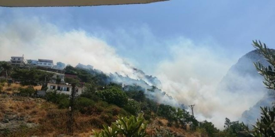 Hatay'da orman yangını: Alevler evlere sıçradı