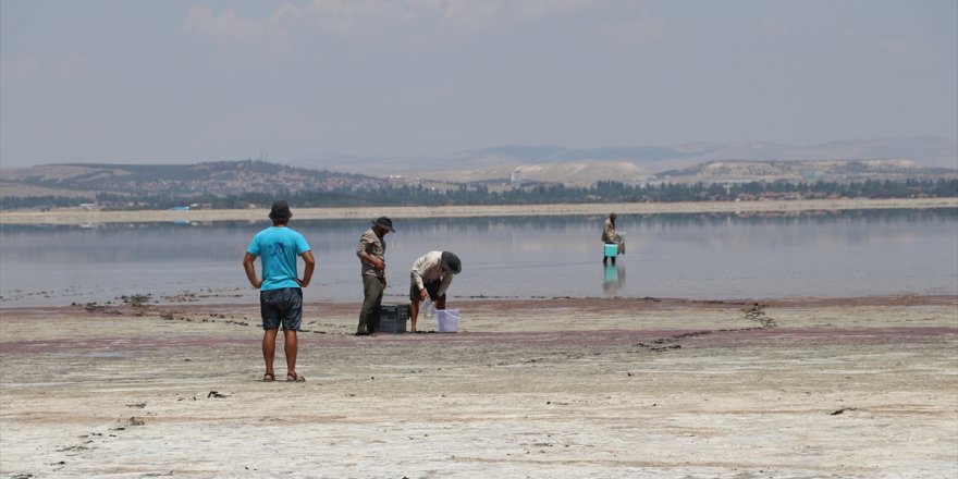 Suları çekilmeye devam eden Acıgöl'de ODTÜ heyeti inceleme yaptı