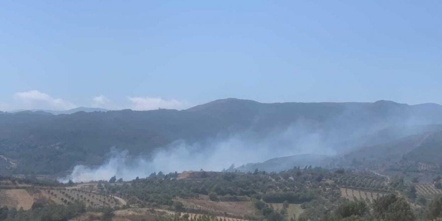 Hatay'da ormanlık alanın yakınında yeniden yangın çıktı