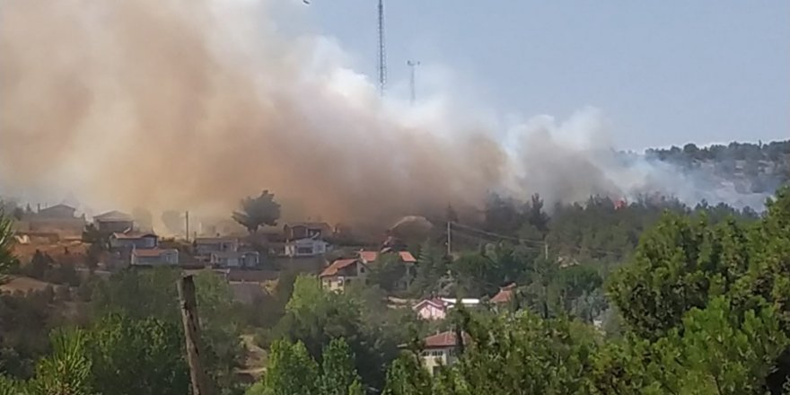 Son dakika: Uşak’ta orman yangını köyü tehdit ediyor