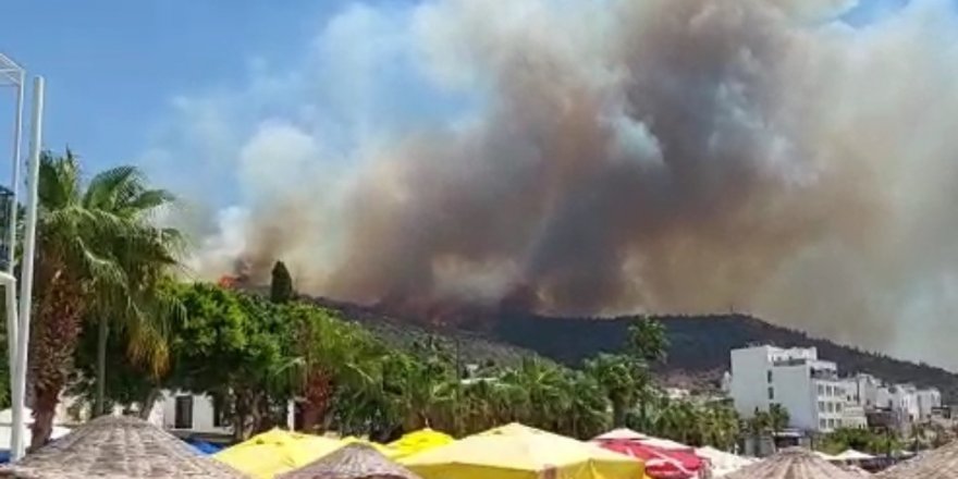 Bodrum’daki yangın kısa sürede büyüdü, mahallenin boşaltılması için anons yapılıyor