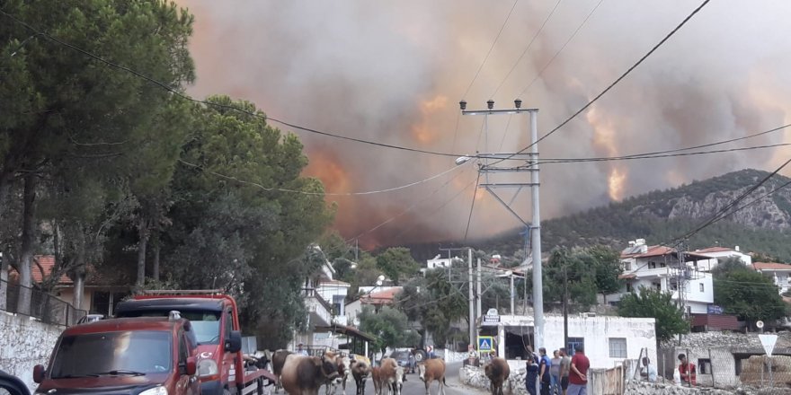 Milas'ta alevler yerleşim bölgesine ulaştı, Gökbel köyü boşaltıldı