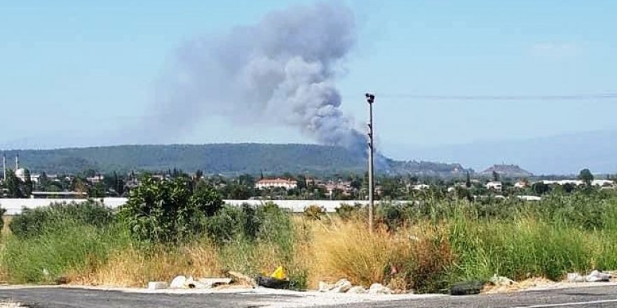 Seydikemer’de orman yangını