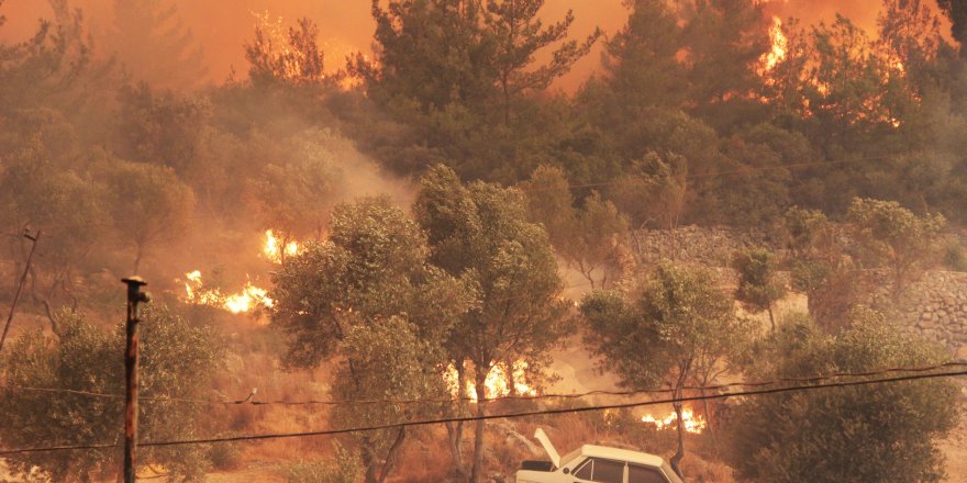 Muğla alevlerle boğuşuyor