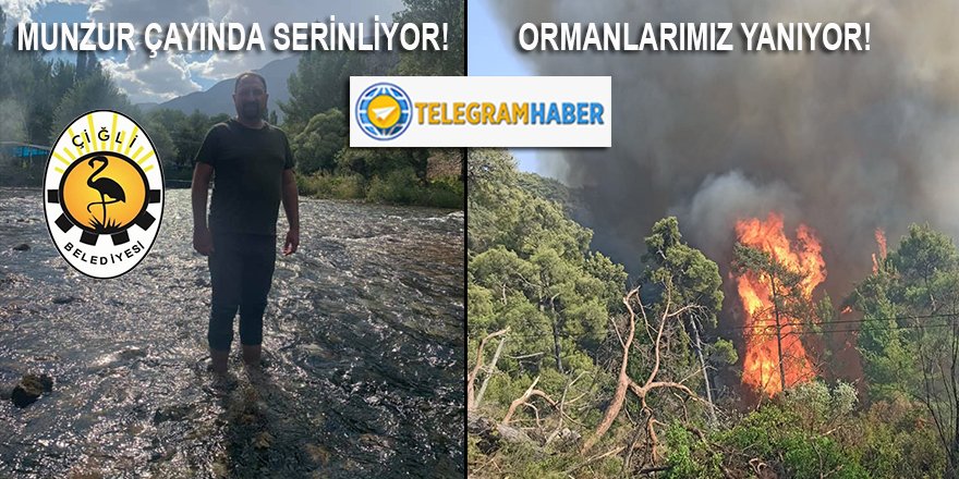 Bir yanda ormanlarımız yanıyor... CHP'li Çiğli belediye başkanı Gümrükçü de paçaları sıvamış Munzur çayında serinliyor...