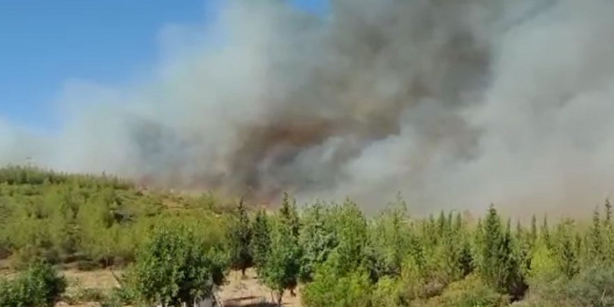 Alevler, Bodrum’un son kalesi Kisebükü’ye ulaştı