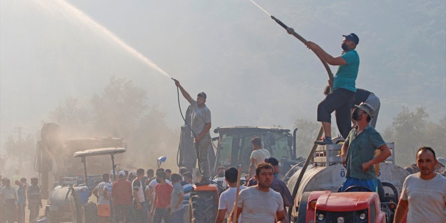 Muğla Seydikemer'deki orman yangını zeytin bahçelerine sıçradı