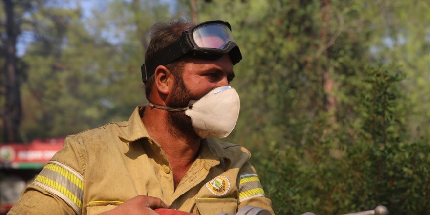 Milas, Bodrum ve Kavaklıdere'deki orman yangınlarına havadan ve karadan müdahale sürüyor