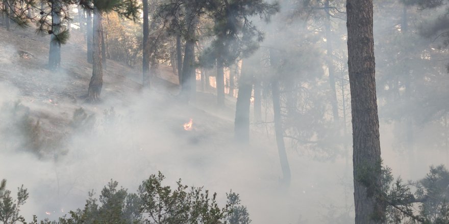 Tavas’taki yangın kısmen kontrol altına alındı