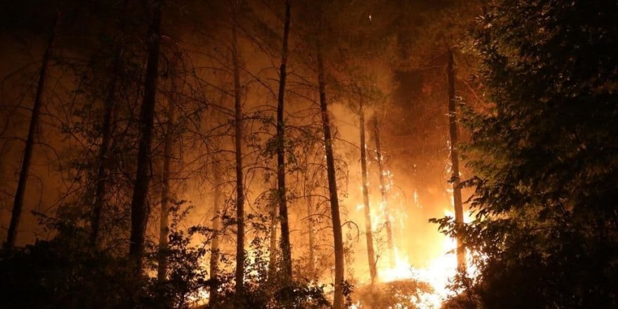 Menteşe’de yangınla mücadele gece boyunca devam etti