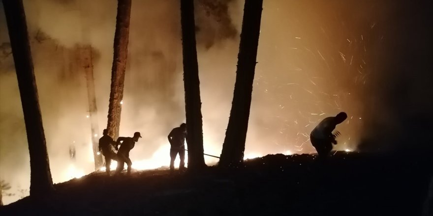 Aydın'daki orman yangınına müdahale devam ediyor