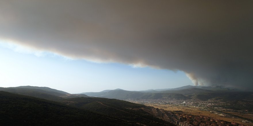 Muğla’da yükselen dumanlar gökyüzünü griye boyadı