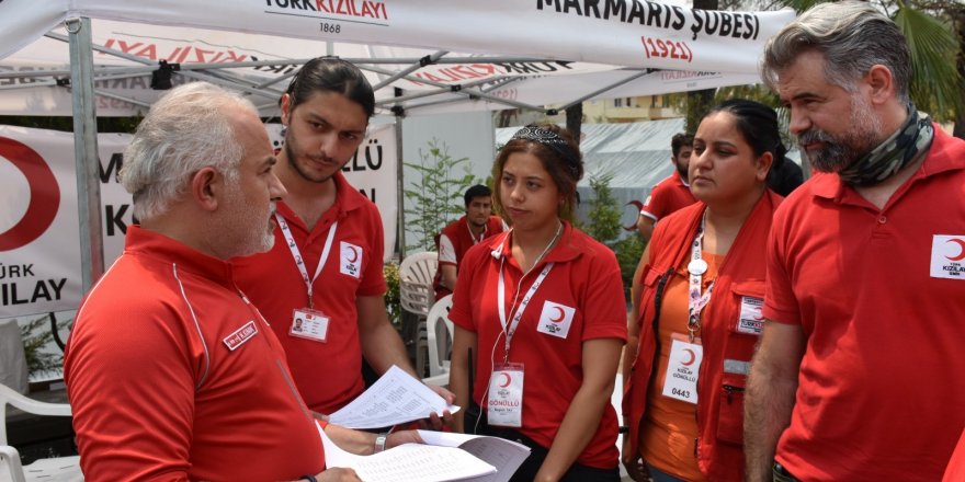 "Yanan alanlara 7 buçuk milyon fidan dikmek için çalışacağız"