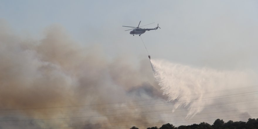 İzmir Urla'daki makilik alan yangını kontrol altında