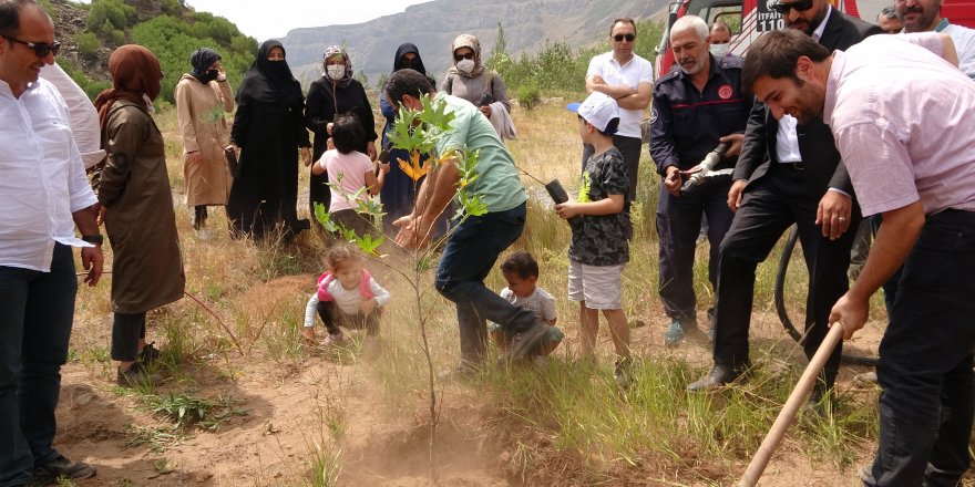 Ülkede çıkan yangınlardan dolayı Nemrut Dağı’nda ağaç dikimi gerçekleştirildi