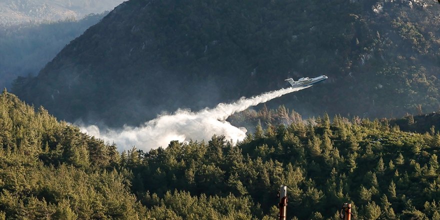 Muğla'da çıkan orman yangını kontrol altına alınmaya çalışılıyor