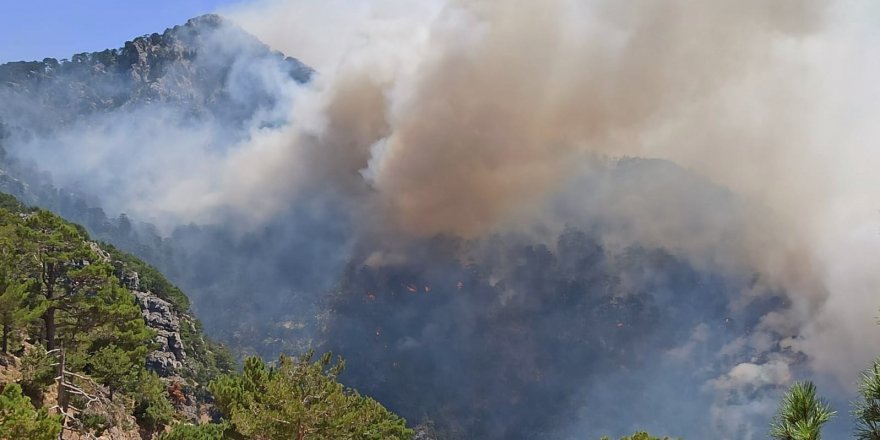 Akseki'deki orman yangınıyla ilgili bir şüpheli tutuklandı