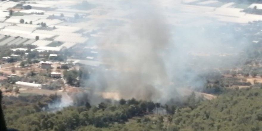 Seydikemer'de orman yangını başladı