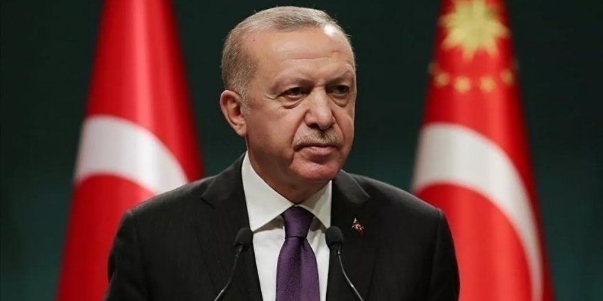 Erdoğan'dan orman yangınlarıyla ilgili talimat: Hiç hesapsız yaraları sarın