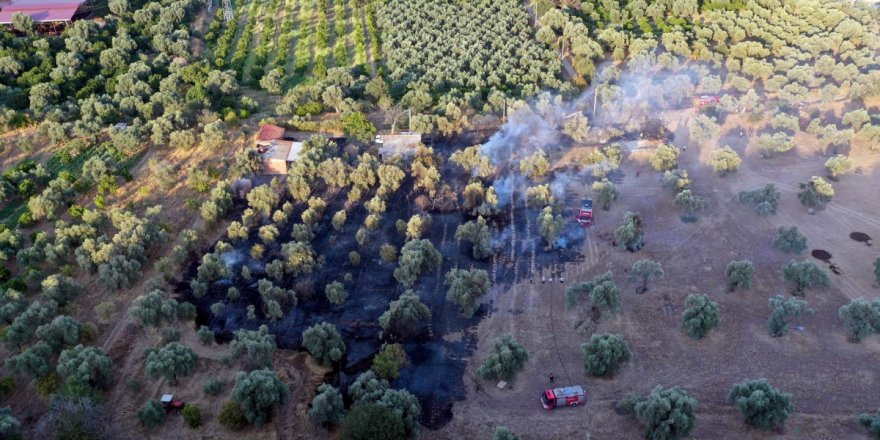 Kaynak yaparken arazisini yaktı