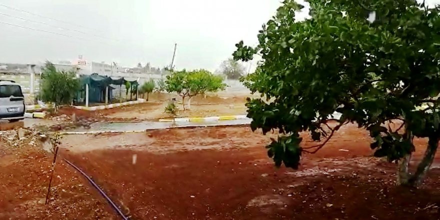 Şanlıurfa'da sel araçları sürükledi