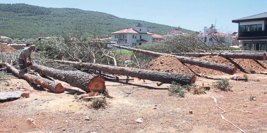 Bir yanda yangın bir yanda katliam