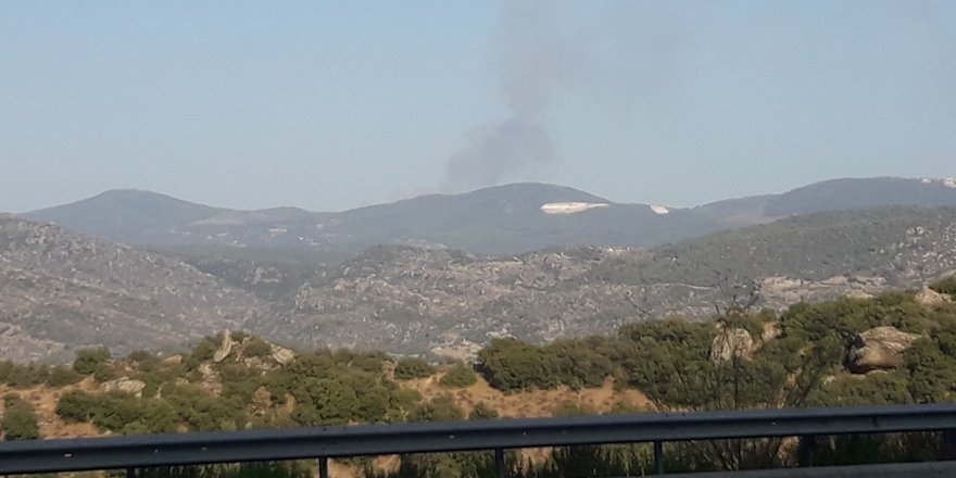 Muğla’da orman yangını