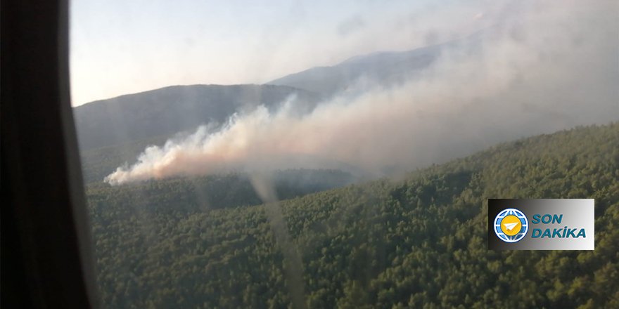 İzmir’de orman yangını: Havadan ve karadan müdahale ediliyor