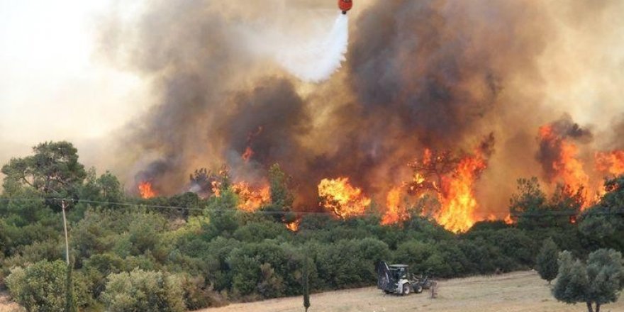 Çanakkale'de orman yangınına havadan müdahale ediliyor