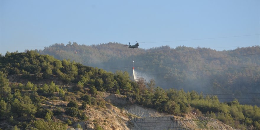 Aydın'da ormanlık alanda çıkan yangın nedeniyle bir mahalle tahliye edildi