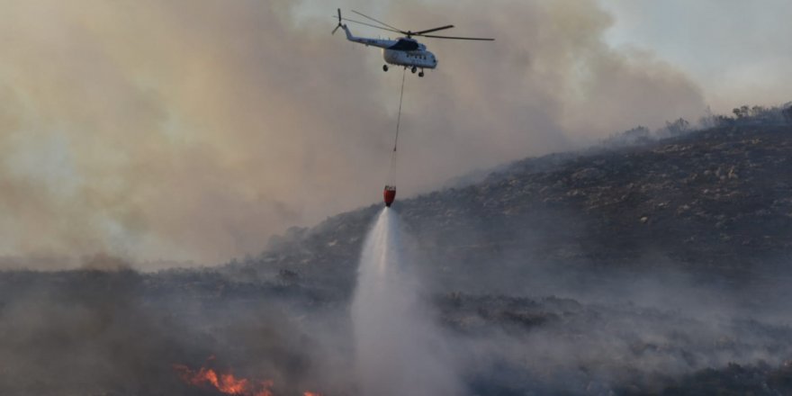 İzmir'deki orman yangınları kontrol altında