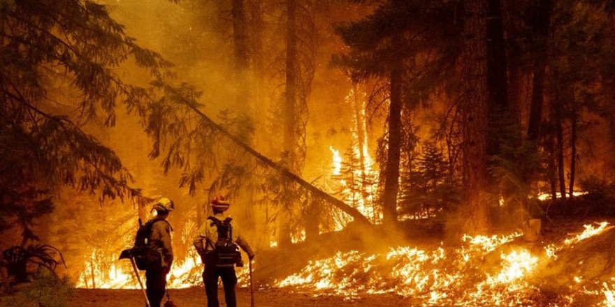 California’daki orman yangını devam ediyor: 700 ev küle döndü