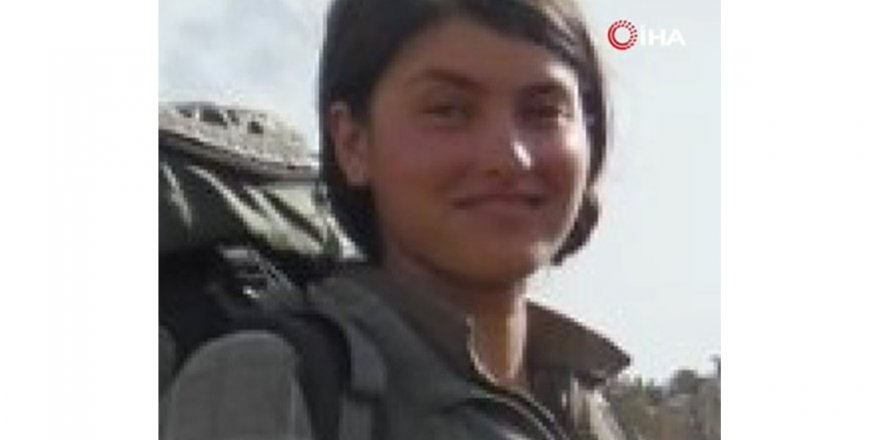 PKK'ya ağır darbe: 500 bin lira ödülle aranan terörist etkisiz hale getirildi