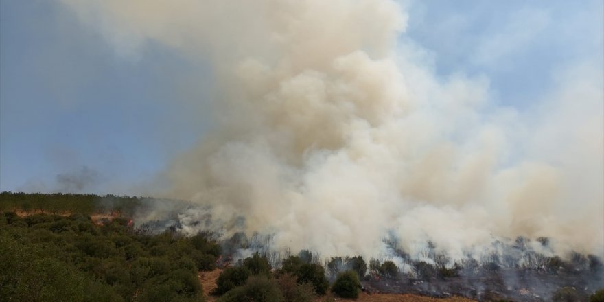 Manisa'da makilik alanda çıkan yangın kontrol altına alındı