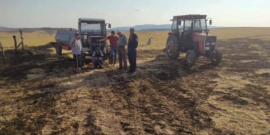 Yüksek gerilim hattına çarpan kuş yangın çıkarttı