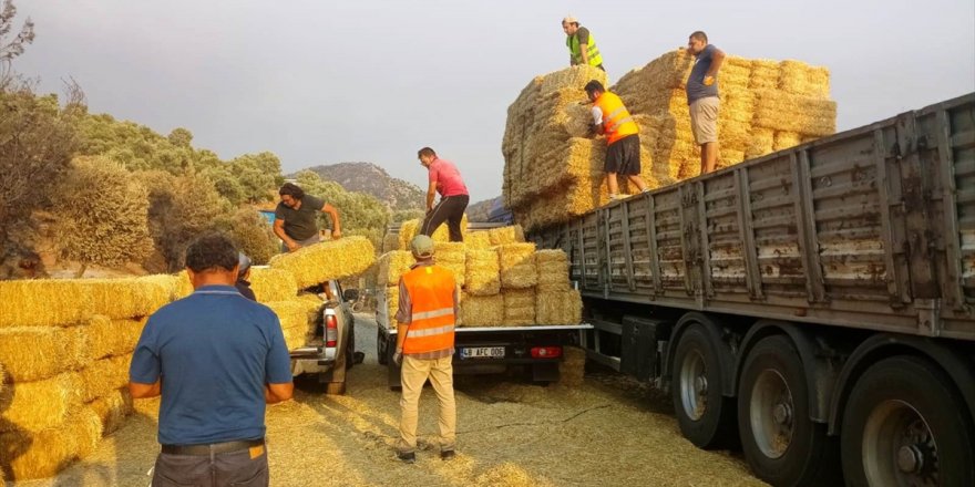 Bodrum Belediyesi'nden yangın mağduru kişilere destek çalışmaları