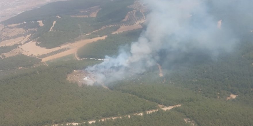 İzmir'in Aliağa ilçesinde ormanlık alanda yangın çıktı