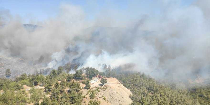 Bodrum'da çıkan orman yangınına müdahale ediliyor