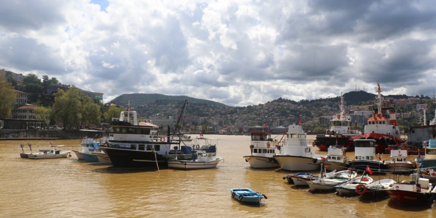 Şiddetli yağmur sonrası liman sarıya boyandı