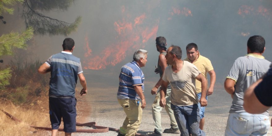 Bodrum'da çıkan yangında 13 hektar alan küle döndü