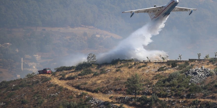  Bodrum'da çıkan orman yangını kontrol altına alındı