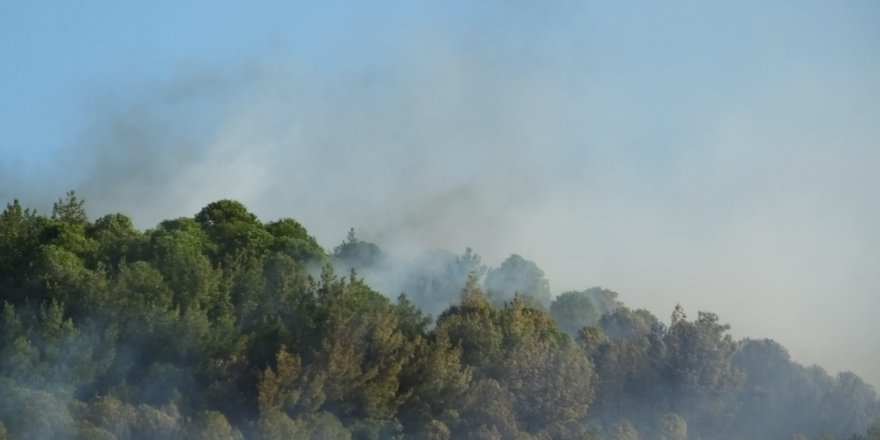 Balıkesir'de çıkan orman yangını kontrol altına alındı